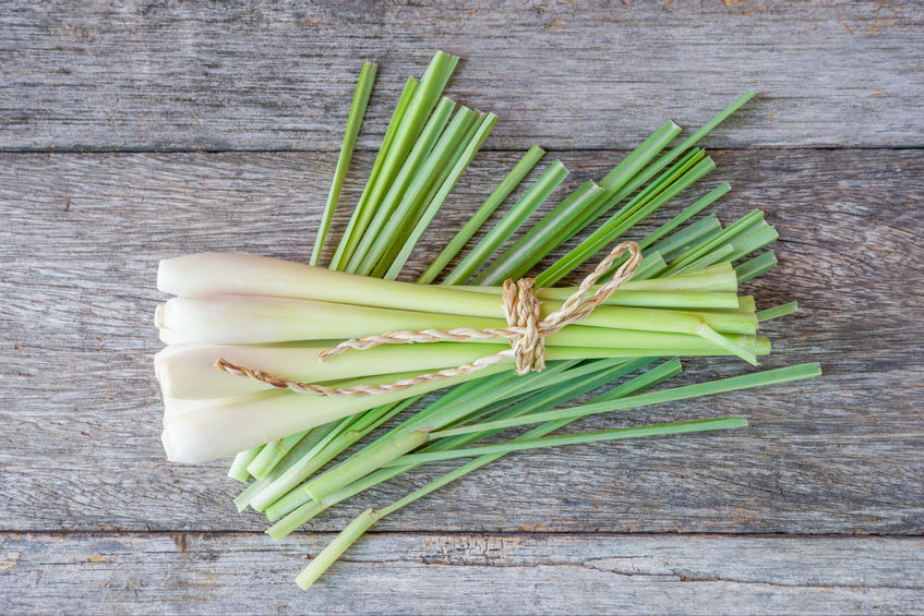 Lemongrass and Cucumber